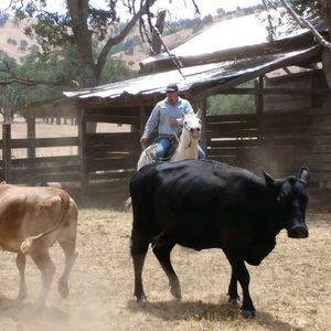 Meet your Posher, Kevin